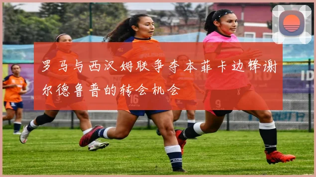 罗马与西汉姆联争夺本菲卡边锋谢尔德鲁普的转会机会